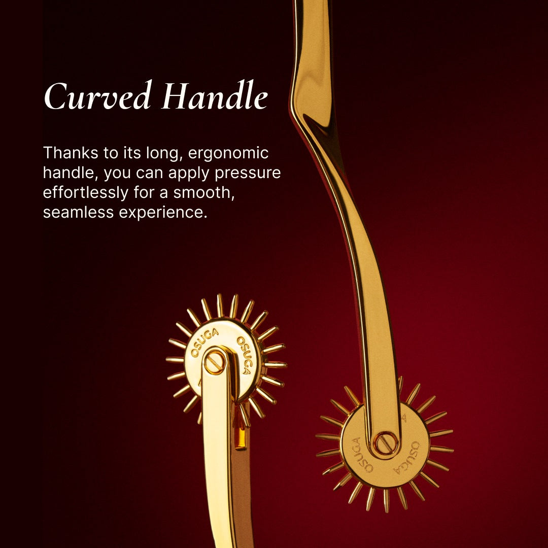 BDSM Wartenberg Pinwheel with Handle