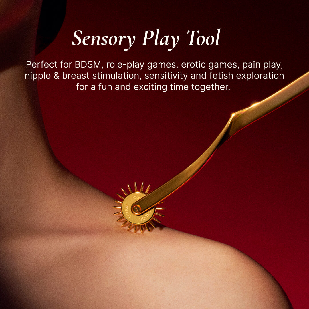 BDSM Wartenberg Pinwheel with Handle