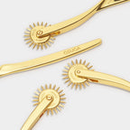 BDSM Wartenberg Pinwheel with Handle