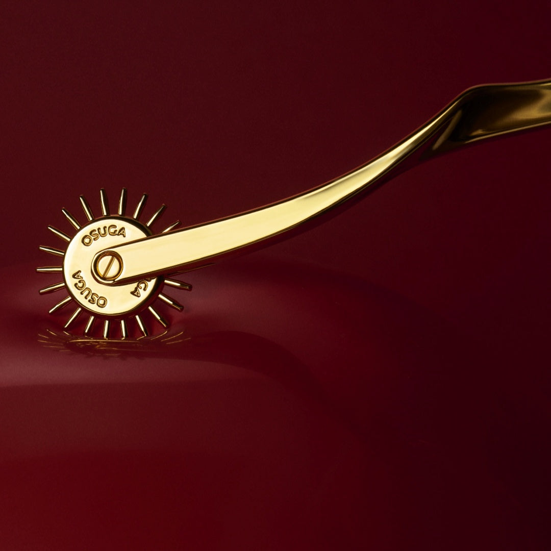 BDSM Wartenberg Pinwheel with Handle