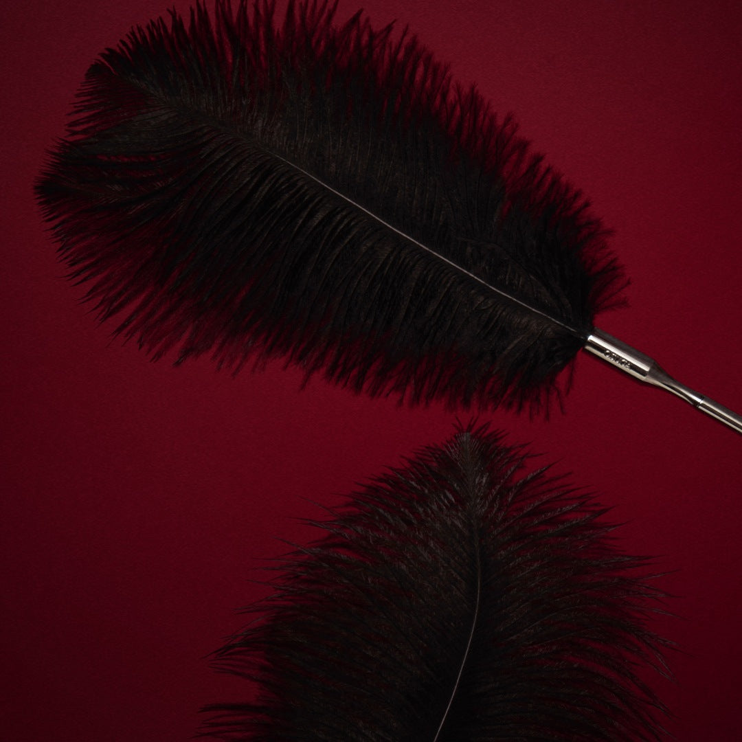 Feather Ticklers Teasers